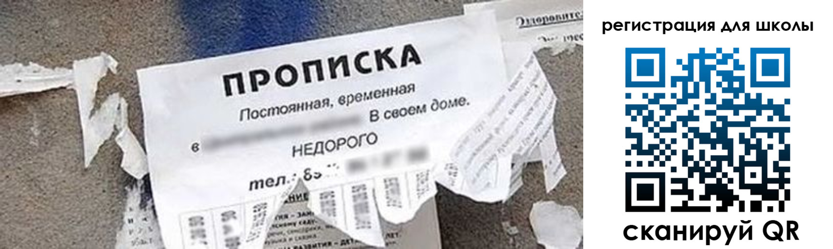 временная регистрация поиск в Волоколамске